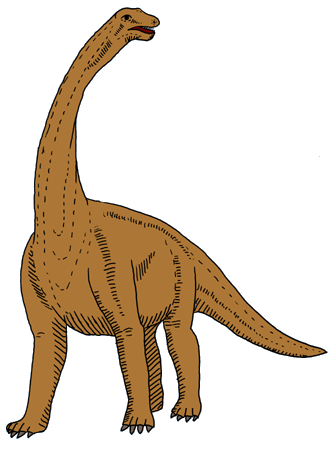 DinosaurierInteresse  Barapasaurus