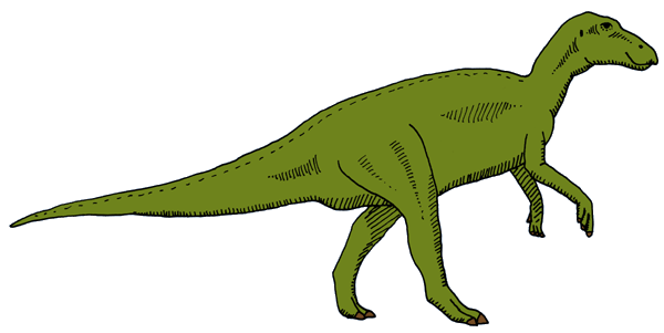 DinosaurierInteresse  Edmontosaurus