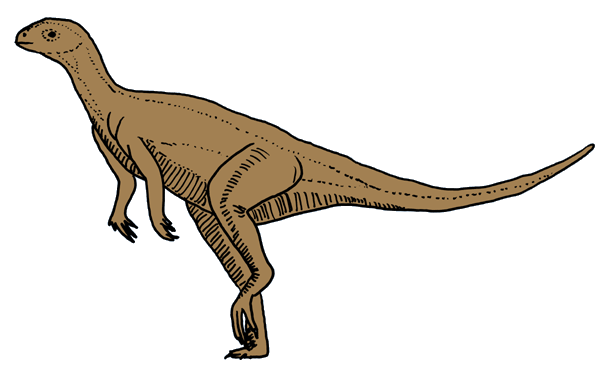 DinosaurierInteresse  Pisanosaurus