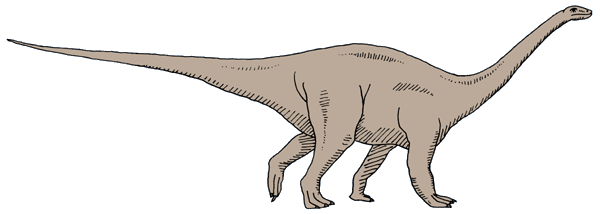 DinosaurierInteresse  Riojasaurus