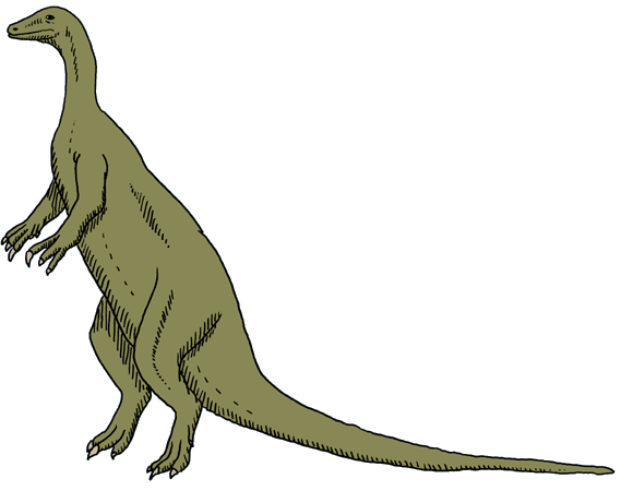 DinosaurierInteresse  Sellosaurus
