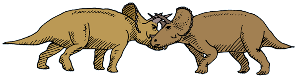 DinosaurierInteresse  TriceratopsKampf