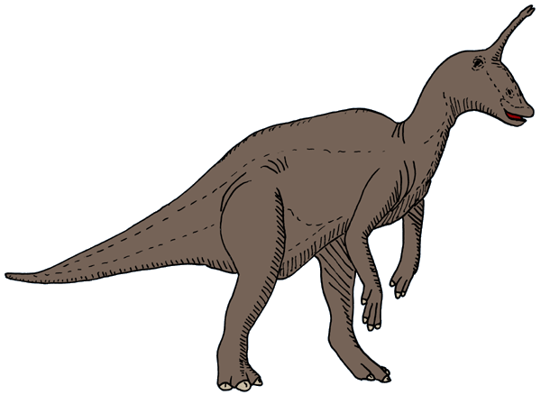 DinosaurierInteresse  Tsintaosaurus