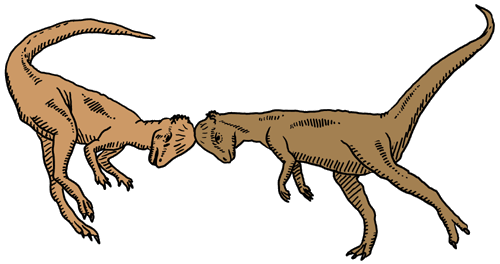 DinosaurierInteresse  PachycephalosaurusKampf