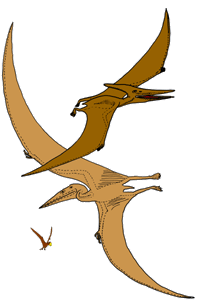 DinosaurierInteresse  Saurier: Ordnung der Pterosauria