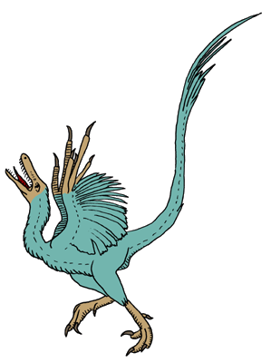 DinosaurierInteresse  Sinornithosaurus