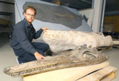 Rainer Schorch mit Überresten des Temnodontosaurus