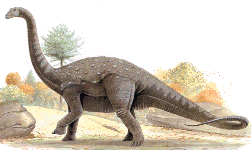  Vertébrés Fossiles   ---    Titanosaurier