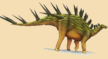 Centrosaurus (Afrika)