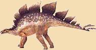 Stegosaurus (Nordamerika)