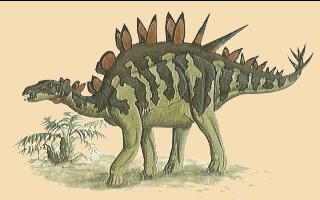 Tuojiangosaurus (Asien)