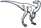 Eoraptor