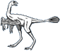 Protarchaeopteryx