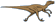 Dromaeosaurus