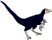 Microraptor