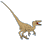 Neuquenraptor