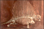 Dimetrodon