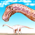 Rapetosaurus krausei