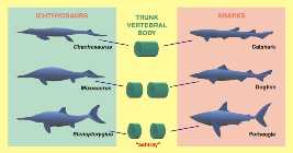 Zur Vergrößerung anklicken