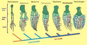 Zur Vergrößerung anklicken