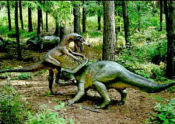 Velociraptor gegen Protoceraptops in Münchehagen