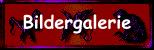 Kinder malen Bilder