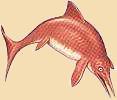 Ichthyosaurus
