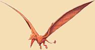 Pterosaurier