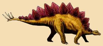 Stegosaurus